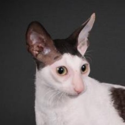 Barmont's Time After Time