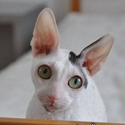 Anglarna's Super Spender