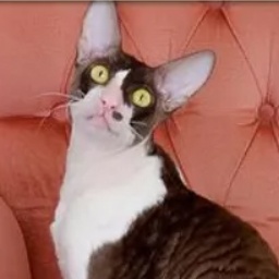 Thranduil Magic Rivendell